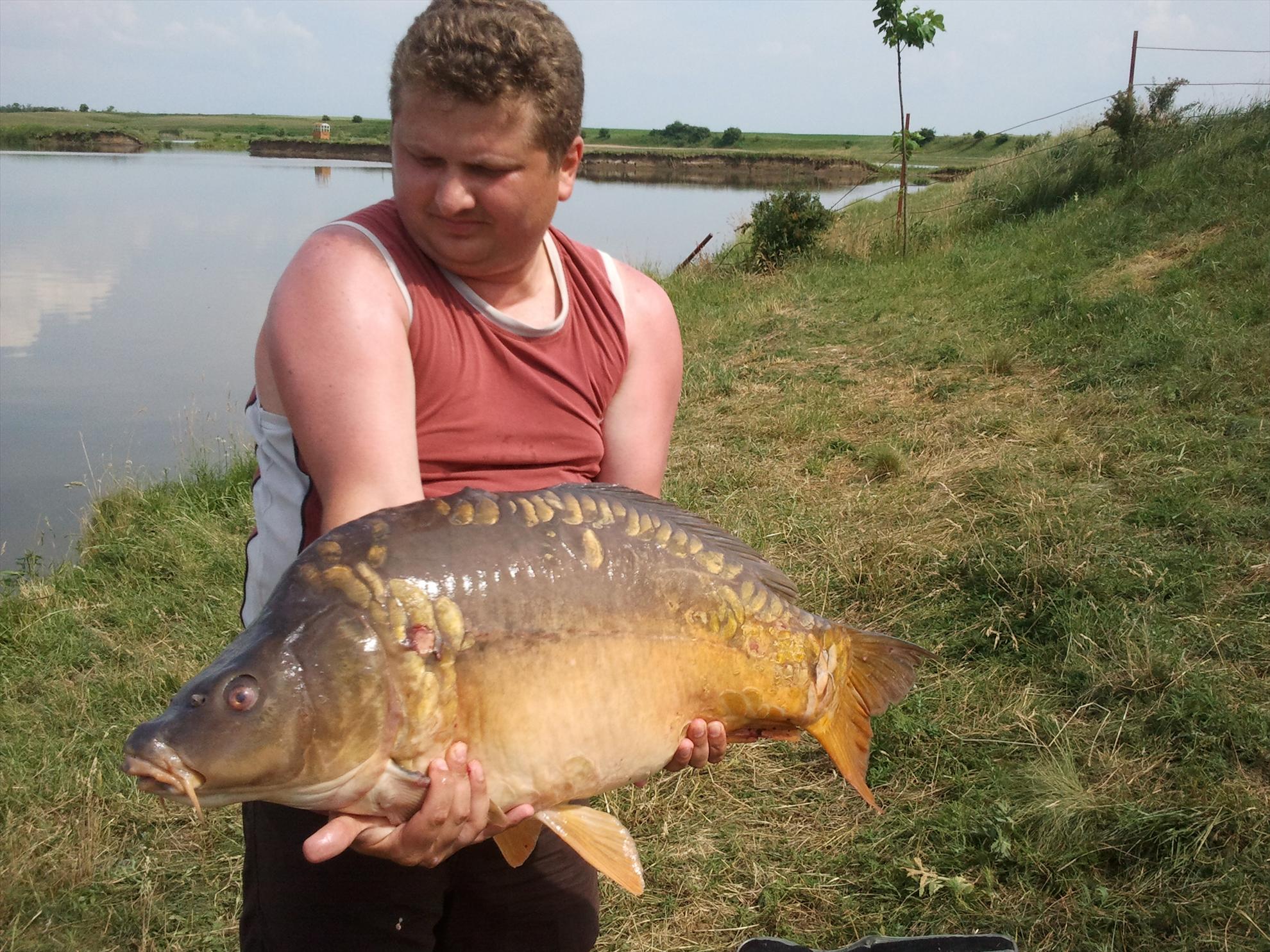 De prin jurul orasului - Doamna din Livada